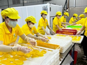 Mangue séchée biologique Offre Spéciale Snack préservé de qualité supérieure pour la cuisson de fruits sucrés naturels du Vietnam - Product Image 6