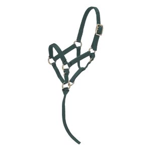 Licou de cheval en cuir de haute qualité, confort élevé, sac de cheval en gros - Product Image 2