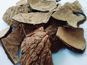 Cáscara de Coco Cruda Premium de Vietnam para la Elaboración de Carbón Vegetal y Uso Industrial, Material a Granel de Alta Calidad Listo para Exportar 2025 - Product Image 5