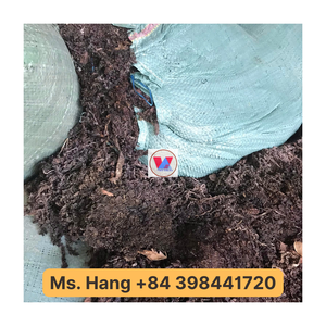 Prix bon marché Sargasses séchées Toutes les algues séchées biologiques de l'océan naturel du Vietnam - Product Image 6