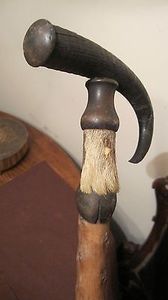Canne de marche artisanale en corne naturelle, poignée en corne de buffle de qualité supérieure, bâton de marche traditionnel - Product Image 2