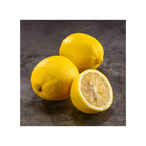 Limones Premium Frescos, Maduros y Aromáticos, Fruta Cítrica de Alta Calidad, Compradores al por Mayor, Exportadores, Productos - Product Image 5