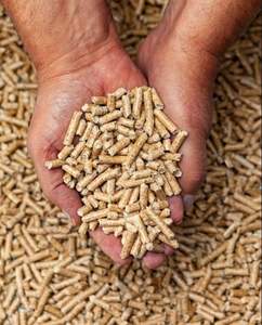 PELLET DE MADERA DE PINO ENPLUS/PELLET DE MADERA DE ROBLE Y DE HAYA DE CALIDAD/PELLETS DE MADERA DE EUROPA DIN PLUS. - Product Image 4