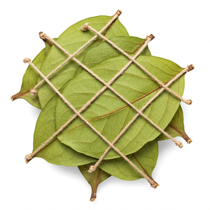 100% Hojas de Guanábana secas naturales cuidadosamente seleccionadas para un sabor refrescante producto agrícola - Product Image 6