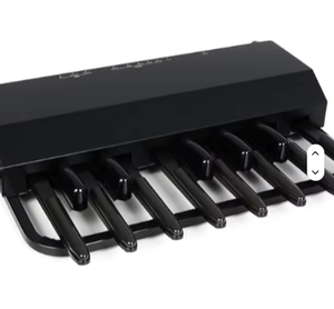 Authentique TOP XPK-130G 13-Note Midi Sound Pedalboard avec Premium BB Tone en vente Tuba Accessoire - Product Image 2