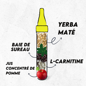 Hình bóng Burner trên đường đi L-Carnitine Elderberry Yerba Mate tập thể dục bắn bởi Pur Vitae - Product Image 4