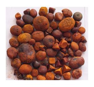 Wholesale dried cattle gallstones trusted supplier with fast worldwide shipping - Product Image 5