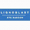 BARDON GROUP logo