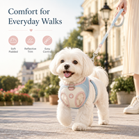 Ensemble Harnais et Laisse pour Chien en Daim Rose Pastel, Doublure en Maille Douce, Patch Patte Personnalisé, Kit de Promenade pour Animaux de Compagnie, Vente en Gros OEM