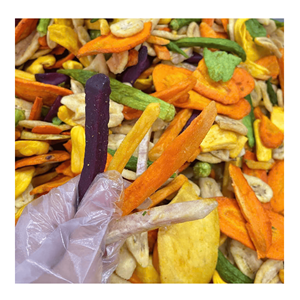 Mélange de fruits secs en vrac du Vietnam, mélange de fruits tropicaux pour les menus de restauration, les buffets d'hôtels, les compagnies aériennes et les usines alimentaires - Product Image 2