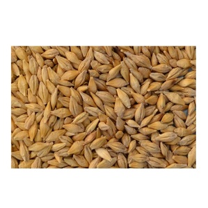 อาหารสัตว์จากข้าวบาร์เลย์ดิบธรรมชาติ - Product Image 1