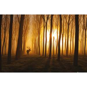 Affiche abstraite de cerf dans la forêt de Stefan Miron, imprimée numériquement sur porcelaine cristalline, peinture décorative d'animaux pour la maison - Product Image 3