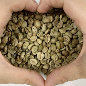 Grains de café Robusta S18 de spécialité de qualité d'exportation du Vietnam écran 18 + séché naturel faible taux de défauts vert transformé Arabica variété - Product Image 4