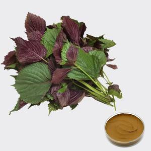 ผงใบงาดิบผลิตในเวียดนาม - Product Image 1