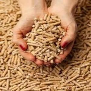 Granulés de bois de bambou de haute qualité brûleur à biomasse Premium carburant livraison rapide produit en gros - Product Image 3