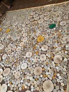 Alerte MEILLEUR VENDEUR! Panneaux de bois ronds décoratifs durables: des tranches de pin de haute qualité, parfaites pour l'art, les sous-verres et les terrariums - Product Image 3