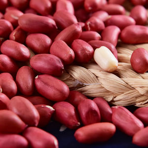 Núcleos Secos Crudos al por Mayor para Marcas de Snacks y Productores de Confitería - Suministro de Maní 100% Natural - Product Image 5