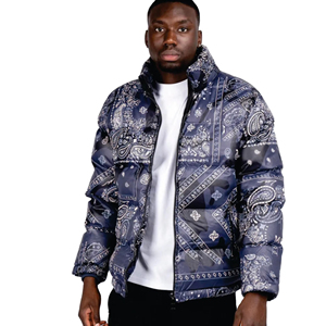 Men's Regular-Length Sport Varsity Puffer <b>Jacket</b> Top Selling Winter Cotton Filled <b>Mandarin</b> <b>Collar</b> Letter Windproof Heated - Product Image 3