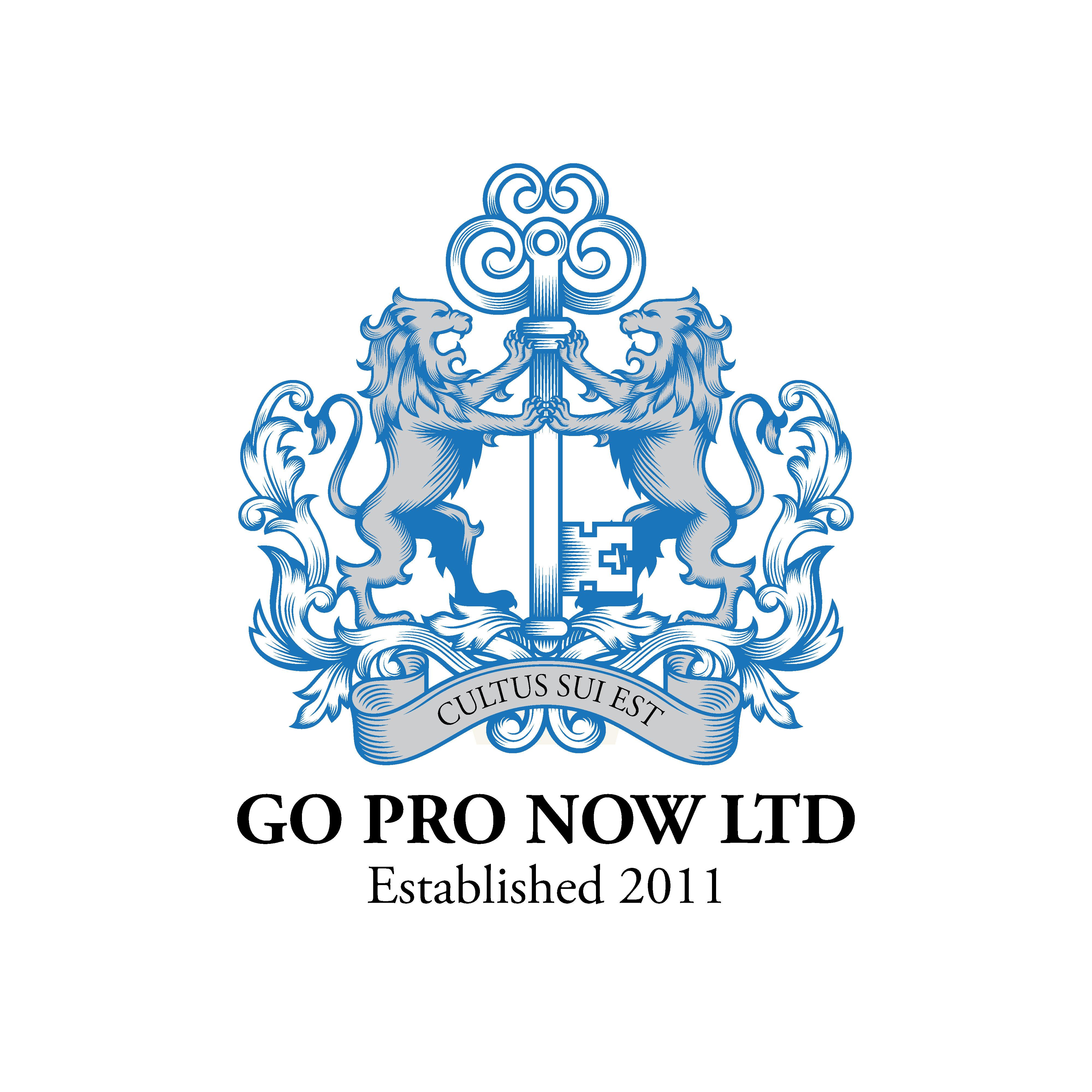 Go Pro Now Ltd logo
