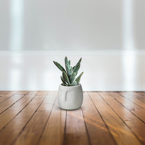 CFB9204WT - Tazón Moai Pequeño con Acabado de Arena Blanca - 4 - Product Image 3