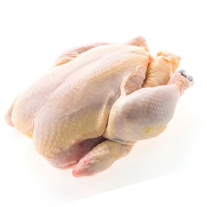 Pollo Entero Congelado de Primera Calidad, Bajo en Grasa, Buen Precio, Halal - Product Image 3