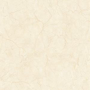 Vente chaude Carrelage en porcelaine antibactérien antidérapant de conception européenne moderne 1000x1000mm pour le sol et les murs de la villa Carrelage d'intérieur - Product Image 1