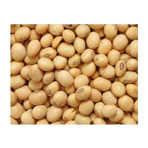 Wholesale GMO and Non GMO Soyabean / <b>Soybeans</b> Exporters - Product Image 4