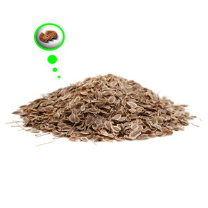 ผักชีลาว | สมุนไพรทำอาหารที่คัดสรรแล้วสำหรับการจัดหา B2B - Product Image 4