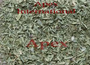 Feuilles entières séchées, Cassia angustifolia feuilles de séné coupées en T, poudre de feuilles de séné, exportateur en vrac de l'Inde, herbe laxative naturelle - Product Image 3