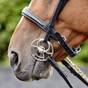 Lynton Snaffle Bridle avec 2 bandeaux Obstacles équins de haute qualité Produits pour chevaux Show Jump Bridle Multi-Functional Western - Product Image 2