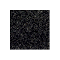 Nouveauté : Carreaux de granit naturel attrayants, granit noir disponible à prix abordable
