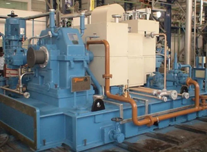 Turbine à vapeur à contre-pression Triveni de 2,5 MW - Product Image 2