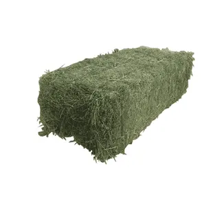 Hot Selling Timothy Hay For Animal Feed Wholesales Ready for Export