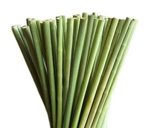 Ống Hút Chất Lượng Cao Giá Tốt Nhất Được Làm Từ 100% Ống Hút Cỏ Tự Nhiên Cho Cả Đồ Uống Nóng Và Lạnh Chiều Dài 18-22Cm - Product Image 4