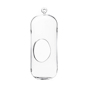 HCH0513 - Terrarium suspendu cylindrique en verre avec trous - 5x13 - Product Image 1