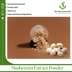 Polvo de extracto de hongos con vida útil prolongada para bases cosméticas, bolsitas y desarrollo de bebidas saludables - Product Image 5