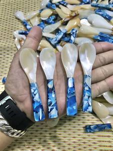 Cuillère en nacre de luxe écologique et réutilisable en gros Cuillères en coquille de conque Caviar coquillage Artisanat de haute qualité - Product Image 3