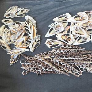 Piezas cortadas de concha de hoja en espiral para exhibiciones de bodas, decoración del hogar y suministro de manualidades a granel - Product Image 5