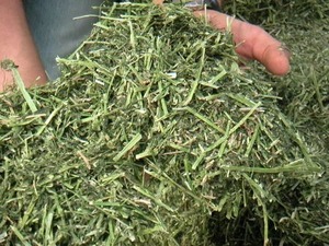 Balles/granulés/cubes de luzerne de foin de Timothy Hay de qualité alimentaire pour l'utilisation de moutons de chien de poisson de porc de bétail de cheval - Product Image 4