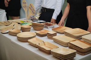 Assiette en feuille de palmier la mieux notée en termes de qualité et de ventes Areca est une marque de vaisselle jetable écologique - Product Image 4