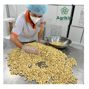 원시 캐슈 너트 OEM 유기농 견과류 베트남 제조 업체 + 84359313086 식품 캐슈 커널에 사용