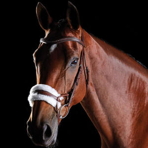 Stanford Anatomique Cheval Bride PVC Western Snaffle Bridle pour Racing 4 Tailles Cheval En Peau De Mouton Produit Équestre - Product Image 1