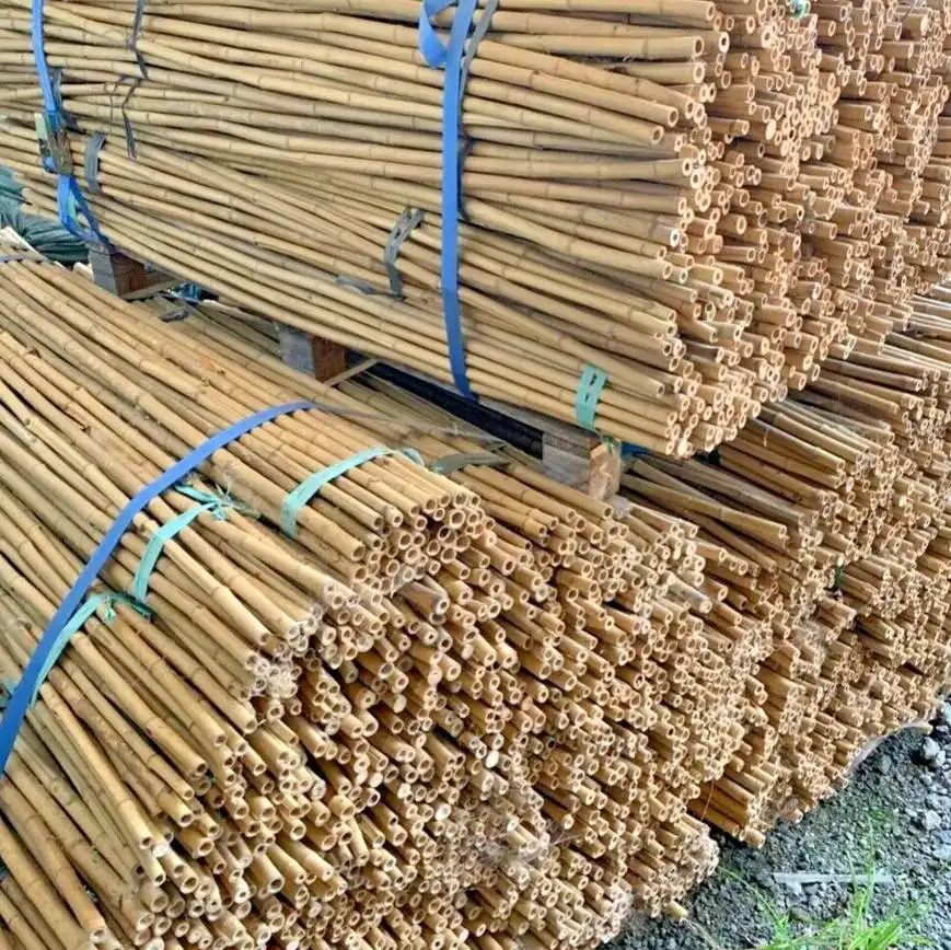 En çok satan-bambu fabrika ve doğal bambu direk Vietnam-toptan bambu direk düşük vergi