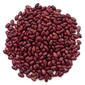 Venta al por Mayor y Menor de Frijoles Rojos Secos Procesados AD, Cultivo Común a Granel, Provenientes de Tailandia - Product Image 2