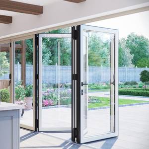Porte en verre polymère à cadre en aluminium BiFold pour villas, appartements, porte d'entrée, isolation phonique, isolation thermique, design 3D - Product Image 6