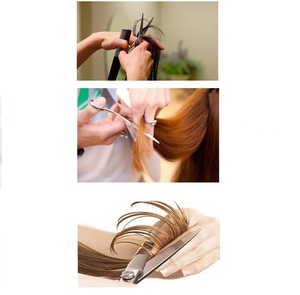 Ciseaux de coupe de cheveux en acier inoxydable de haute qualité en argent meilleur vendeur pour barbier à domicile et salon de coiffure - Product Image 5