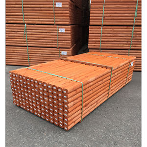 Madera de Cerezo Tratada a Presión de Grado Estructural, Madera Duradera de Alto Rendimiento para Aplicaciones de Construcción en Exteriores - Product Image 6