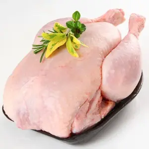 高品質のハラール冷凍鶏肉と鶏肉のパーツを最高の価格で