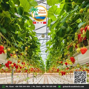 LOSAS DE TURBA DE COCO A ELEGIR FRESAS DE ALTA CALIDAD - Product Image 5