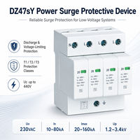 Dispositif de protection contre les surtensions DZ47sY SPD T1 T2 T3 1P 2P 3P 4P 1P+N 3P+N 275V 385V 440V 20kA-160kA Protection contre les surtensions de foudre sur rail DIN